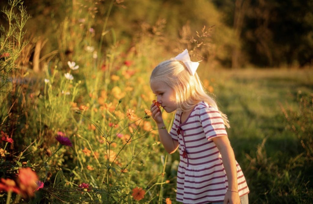 A child smelling a flower along a colorful garden path.