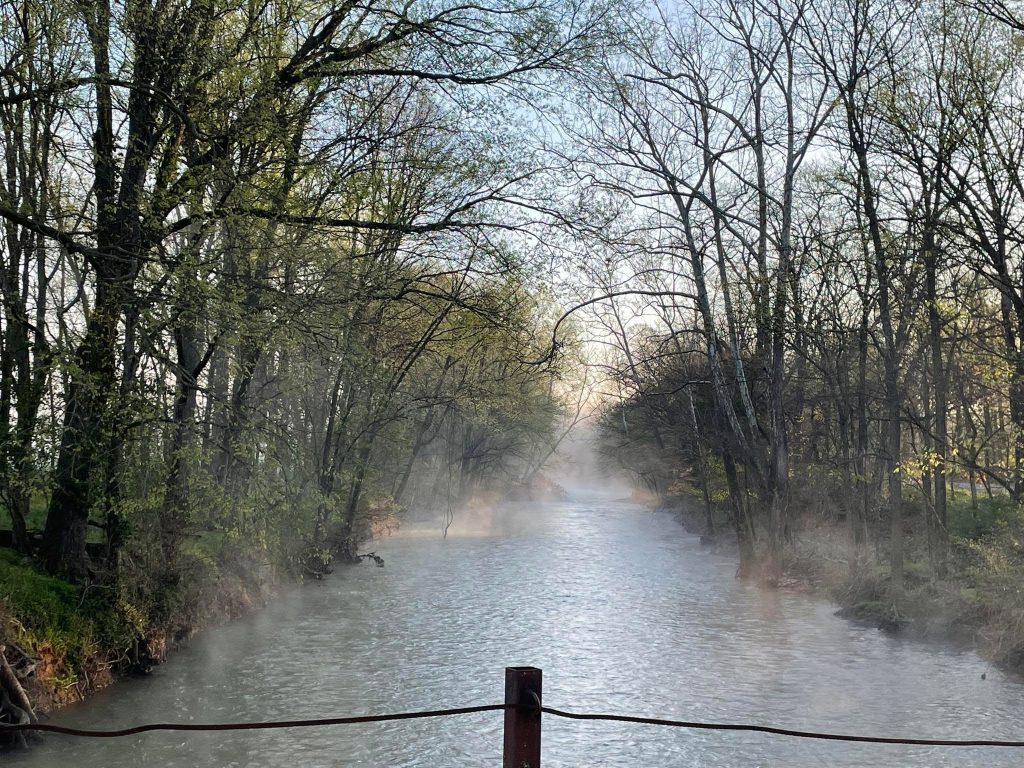 Mist rising over a tree-lined creek in soft morning light.