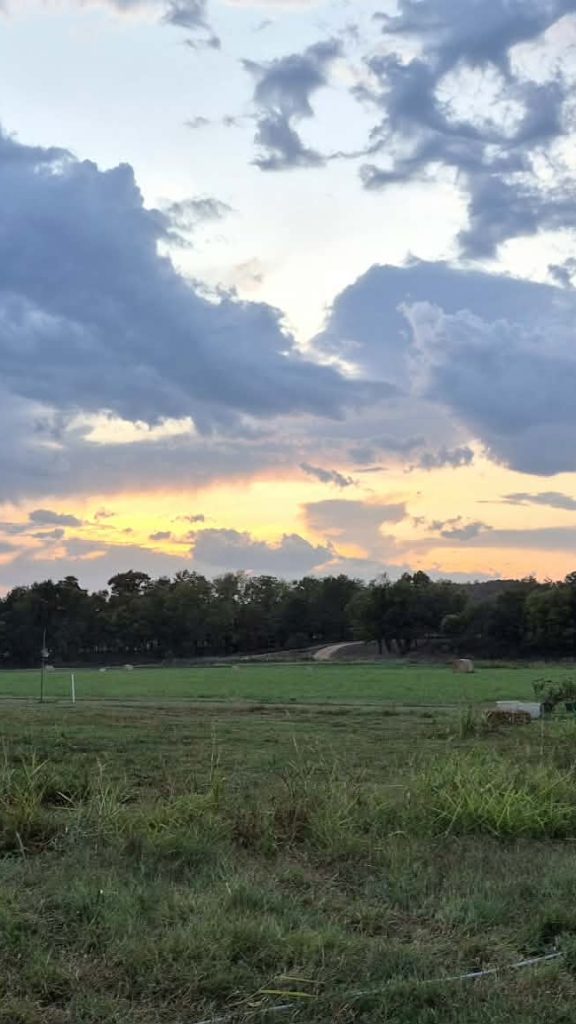 Yellow sunset light breaking through blue-gray clouds above a green pasture.